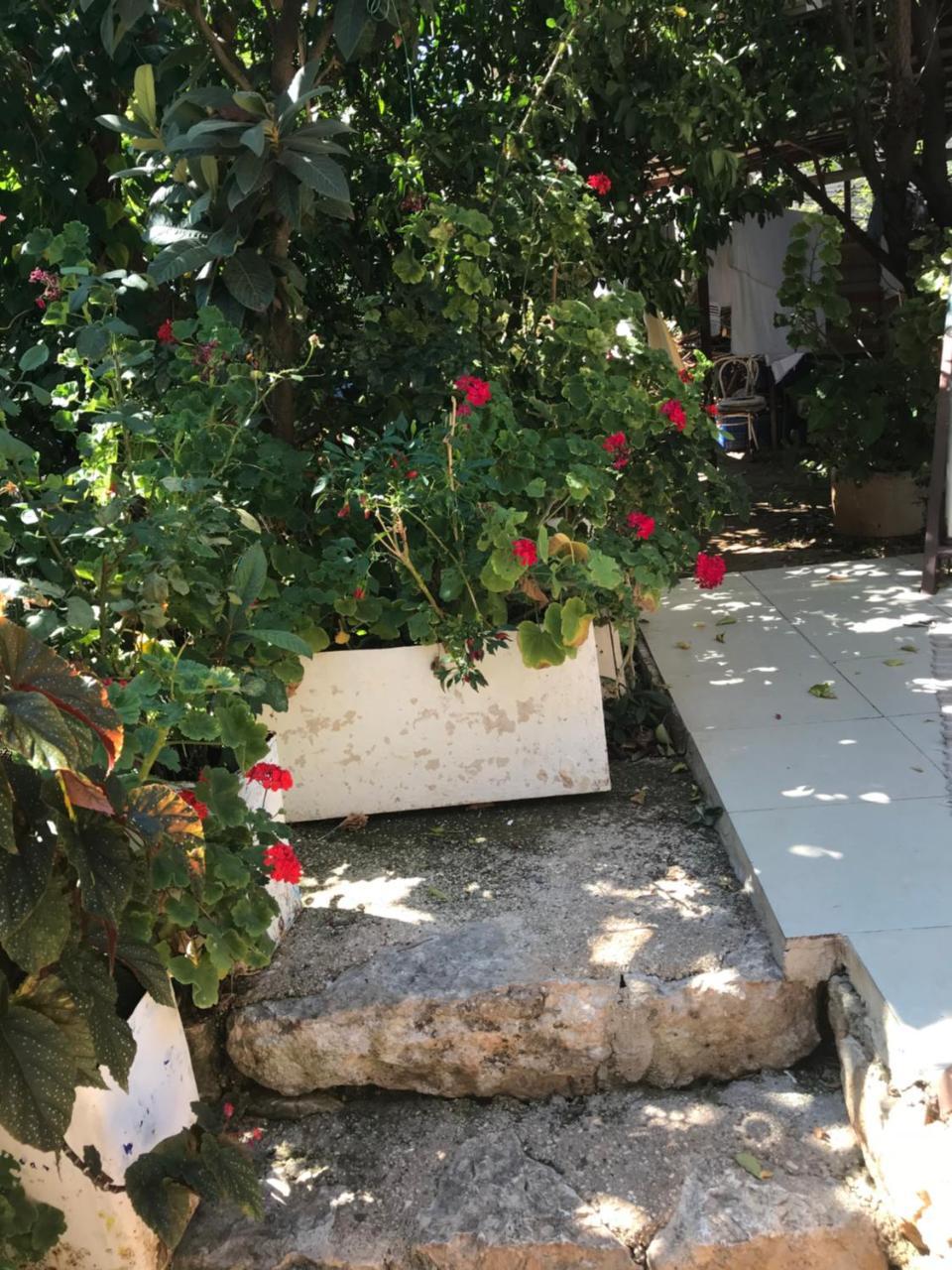 Likya Pansiyon Kaleucagız Exterior foto